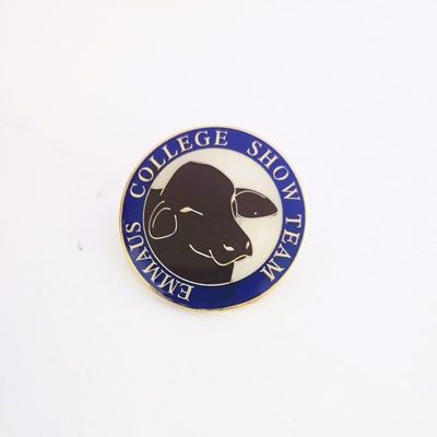kaufen Besondere Eisen-Stampe Runde Lapel-Pins mit Epoxy-Kuppel und Gummi-Clutch online manufacture